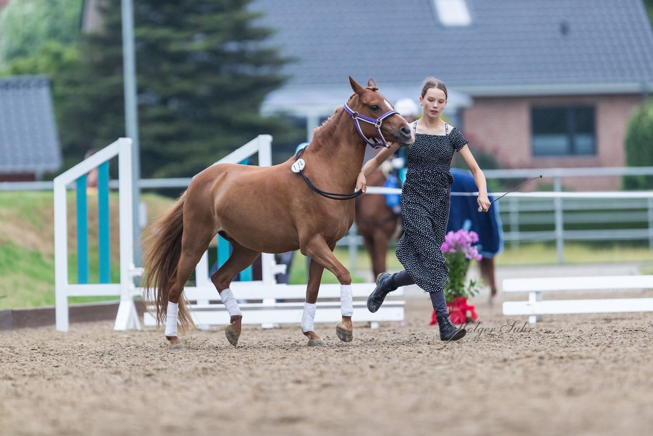 Bild 140 - Pony Akademie Turnier